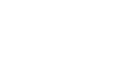 DD logo